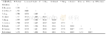 表2 基于合著关系的作者相似度矩阵