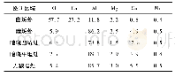 表2 能谱分析结果(质量分数/%)