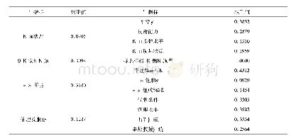 表4 指标权重：高速公路路段安全评价方法研究