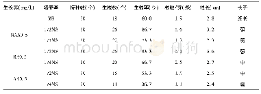 表5 不同培养基对唐菖蒲生根的影响(25d)