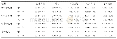 表3 四组术前及术后1年SF-36评分比较/分