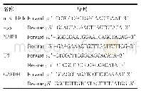 表1 q RT-PCR实验引物序列