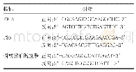 表1 EBI3与P35引物序列