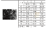 表1 2 A区腐蚀产物元素分析
