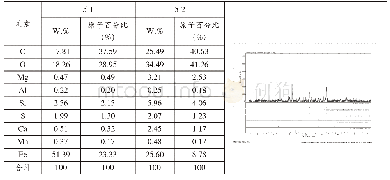 表1 5 5#样品EDS分析结果