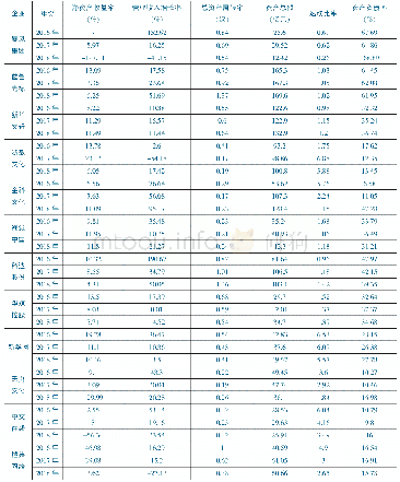 表3 12家文化产业公司技术效率测度相关指标数据