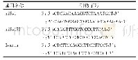 表1 引物序列：血清miR-1和miR-133表达水平与2型糖尿病患者冠心病风险的相关性研究