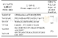 表1 病毒RT-PCR检测引物Tab.1 Primers for RT-PCR virus detection