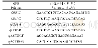 《表1 引物序列：茄子冷诱导转录因子CBF的分离及分析》