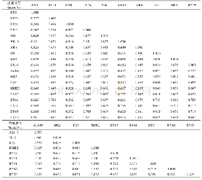 表4 19个云耳菌株间的遗传相似系数矩阵