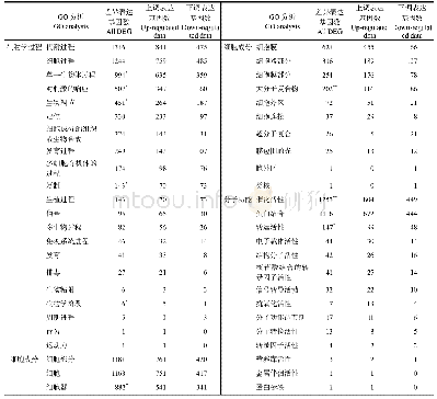 表7 果核差异表达基因GO功能注释