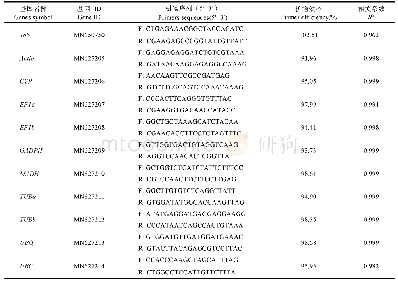 表1 候选内参基因及引物序列