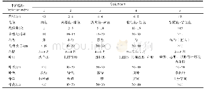 表2 P层评价指标的评分标准