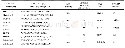 表1 RT-PCR检测中所用引物和反应条件