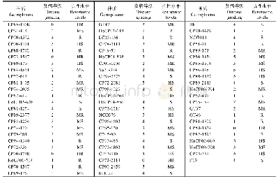 表3 甘蔗种质材料对梢腐病菌PB6-3的抗性评价