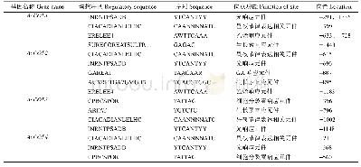 表3 Ac COL基因启动子重要顺式作用元件分析
