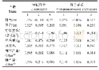 表4 主成分及其得分系数矩阵