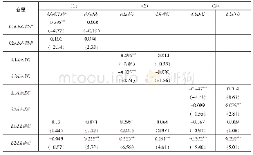 表6 PVAR模型GMM估计结果