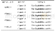 表2 IRF端口：基于IRF+MDC技术的高性能校园网络系统设计探究