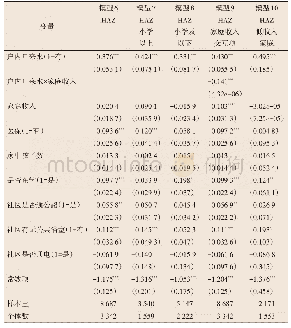 表4 工具变量模型估计结果