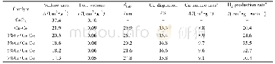 表2 催化剂的H2产率和物化性质