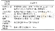 表1 工程标准对照表：桥头跳车病害的原因及处治策略