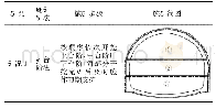 表2 工况表：浅埋暗挖特大断面地铁车站施工工法研究