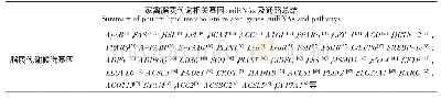 表1 家禽脂质代谢相关基因、mi RNAs及通路