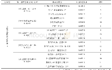 《表9 专家群决策集结各层次因素权重及排序》