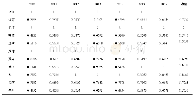 表2 长江经济带工业用水效率测算结果