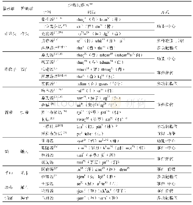 表2 少数民族语言建构类型