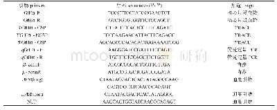 表1 实验所用引物及序列