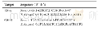 表1 q PCR引物序列