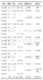 表2 Darknet53参数量与计算量