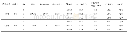 表6 各危险杆件的强度及稳定性校核结果