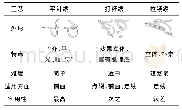 表2 清代三蓝绣的技法对比