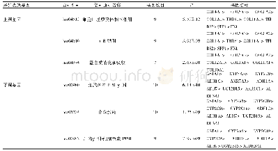 表3 胃癌相关差异表达基因的KEGG通路分析结果