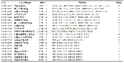 表1 核心靶点基因的GO生物过程分析结果