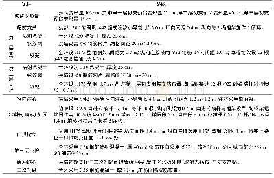 表6 三层初期支护体系参数表