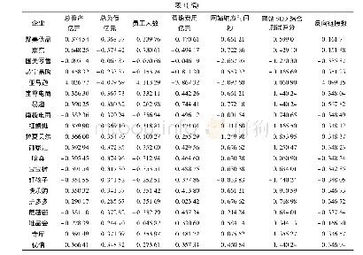 表4 2018年网上零售类电子商务企业经营效率评价指标标准化数据