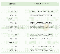 表2 qPCR引物信息Tab 2 Primers information of qPCR