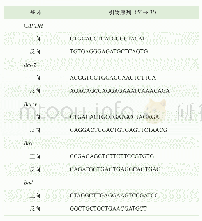 表1 实时定量PCR使用的引物序列Tab 1 Oligonucleotide primers sequences used for real-time PCR