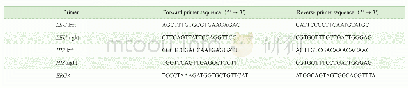 表3 鉴定敲除组件的引物序列
