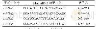 表1 ADAM28基因的4条特异性si RNA靶序列
