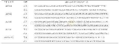 表2 ADAM28基因sh RNA寡核苷酸链序列