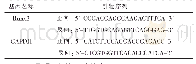 表1 RT-q PCR引物序列