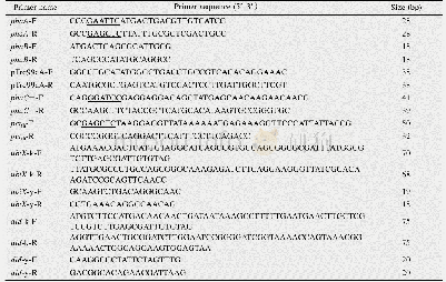 《表2 本文中所用到的引物》