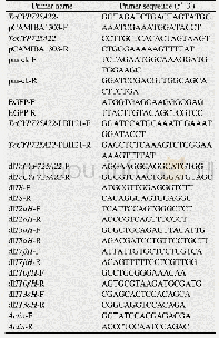 《表1 实验所用引物：中国红豆杉羟化酶基因TcCYP725A22的亚细胞定位及过表达作用分析》