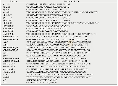 《表2 引物序列：强化类球红细菌辅因子NADPH再生以提高法尼醇的产量》