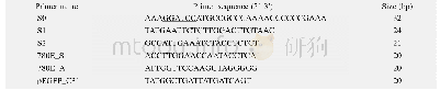 表1 本研究所用引物：部分扩增与双片段连接相结合制作长基因定点突变